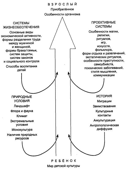Белик Андрей Александрович. Культурная (социальная) антропология. Учебное пособие