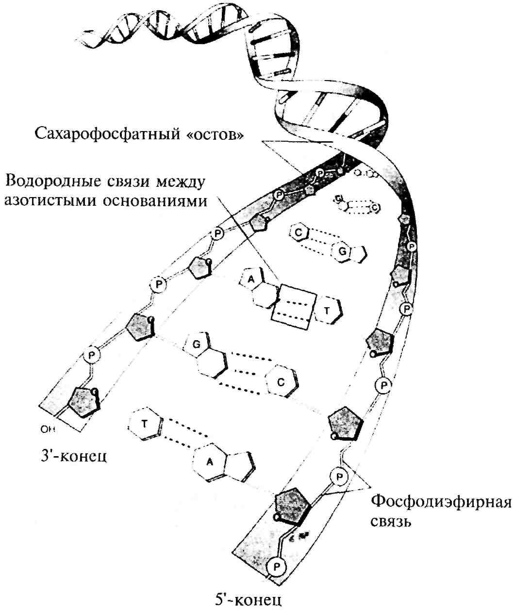 Конец связи картинка