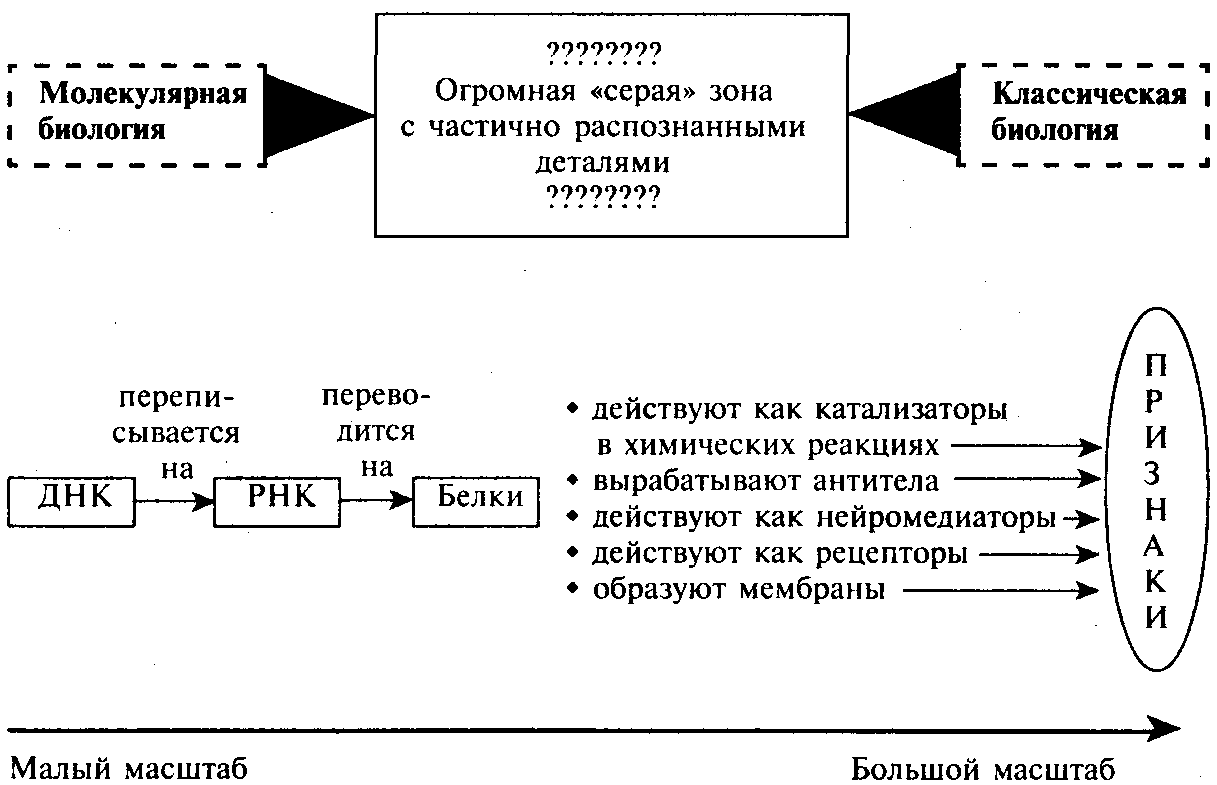 Нерешенная задача картина